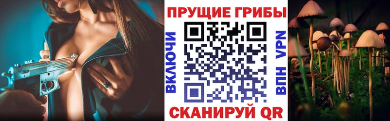 Галлюциногенные грибы Psilocybine cubensis  Дятьково 