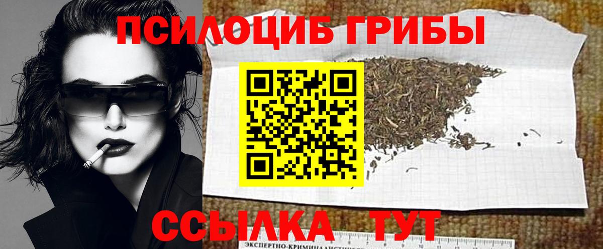 Псилоцибиновые грибы Magic Shrooms Дятьково